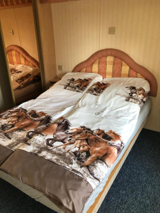 Hotel Stawy Zielona Dolina Kudowa-Zdrój Esterno foto